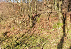 The oldest of the Swffryd levels, January 2011